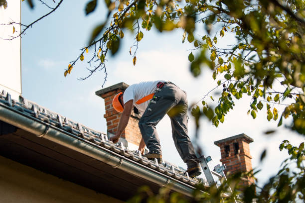 Best Gutter Installation and Roofing  in Oakfield, WI